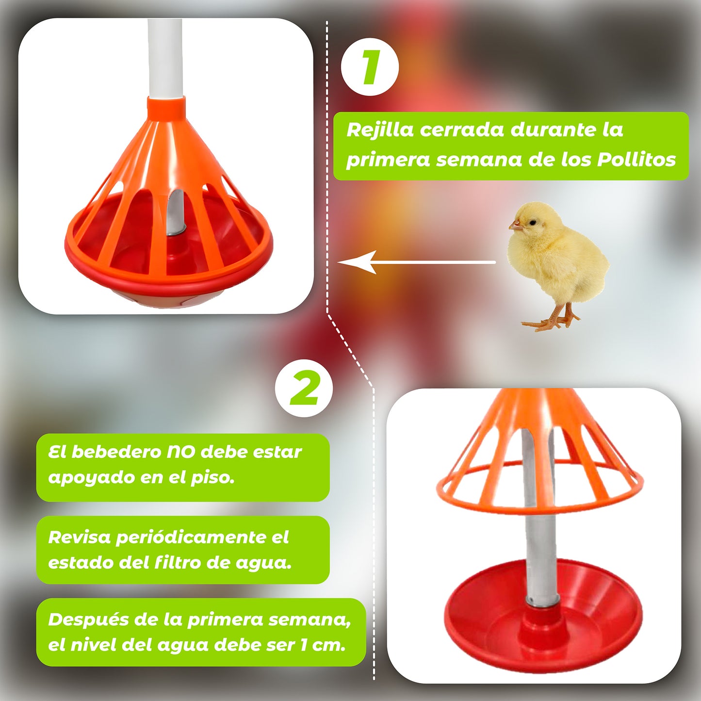 Bebedero Universal con Kit para Aves Agrofácil
