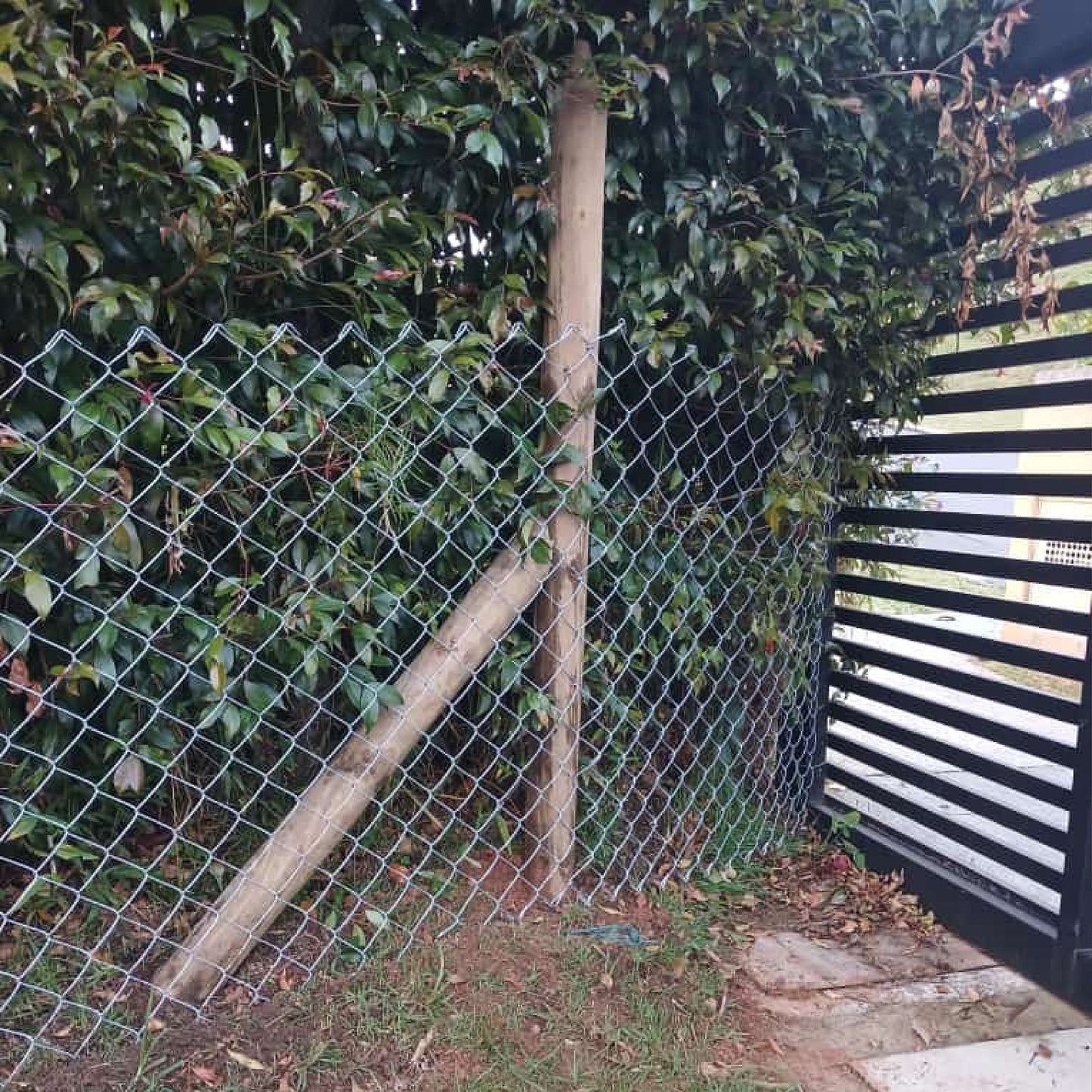 Malla Eslabonada 1.50mt x 10m Agrofácil