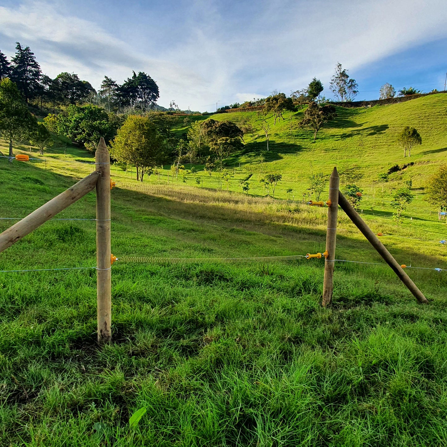 Kit Manigueta Portillo x 5mt Agrofácil x 5 unds