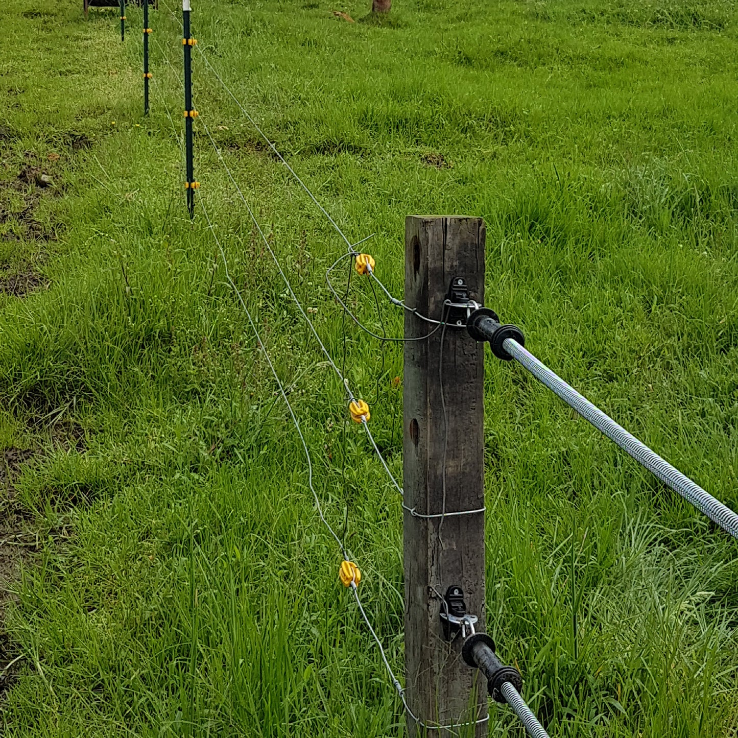 Kit Manigueta Portillo x 3mt Agrofácil x 5 unds