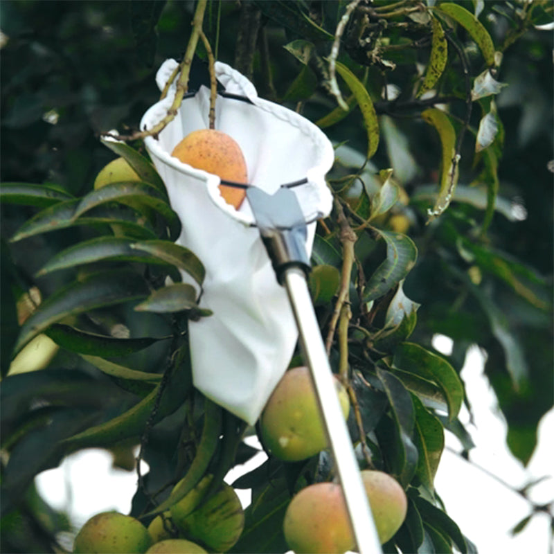 Cosechador de Frutos Telescópico Pro Agrofácil