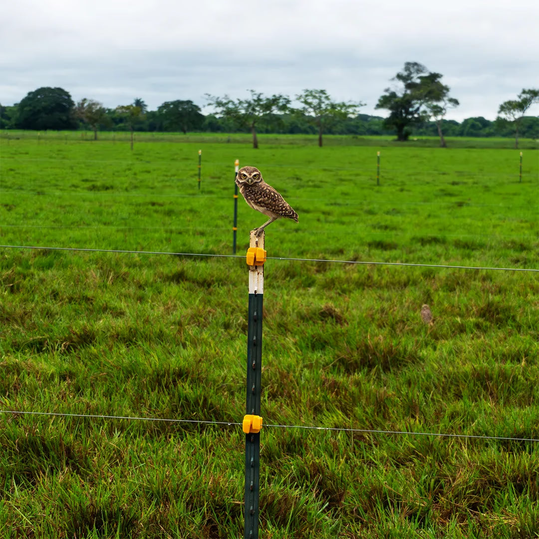 Poste de Acero Lechero - Mascota 1.48m Agrofácil x 50 Unds