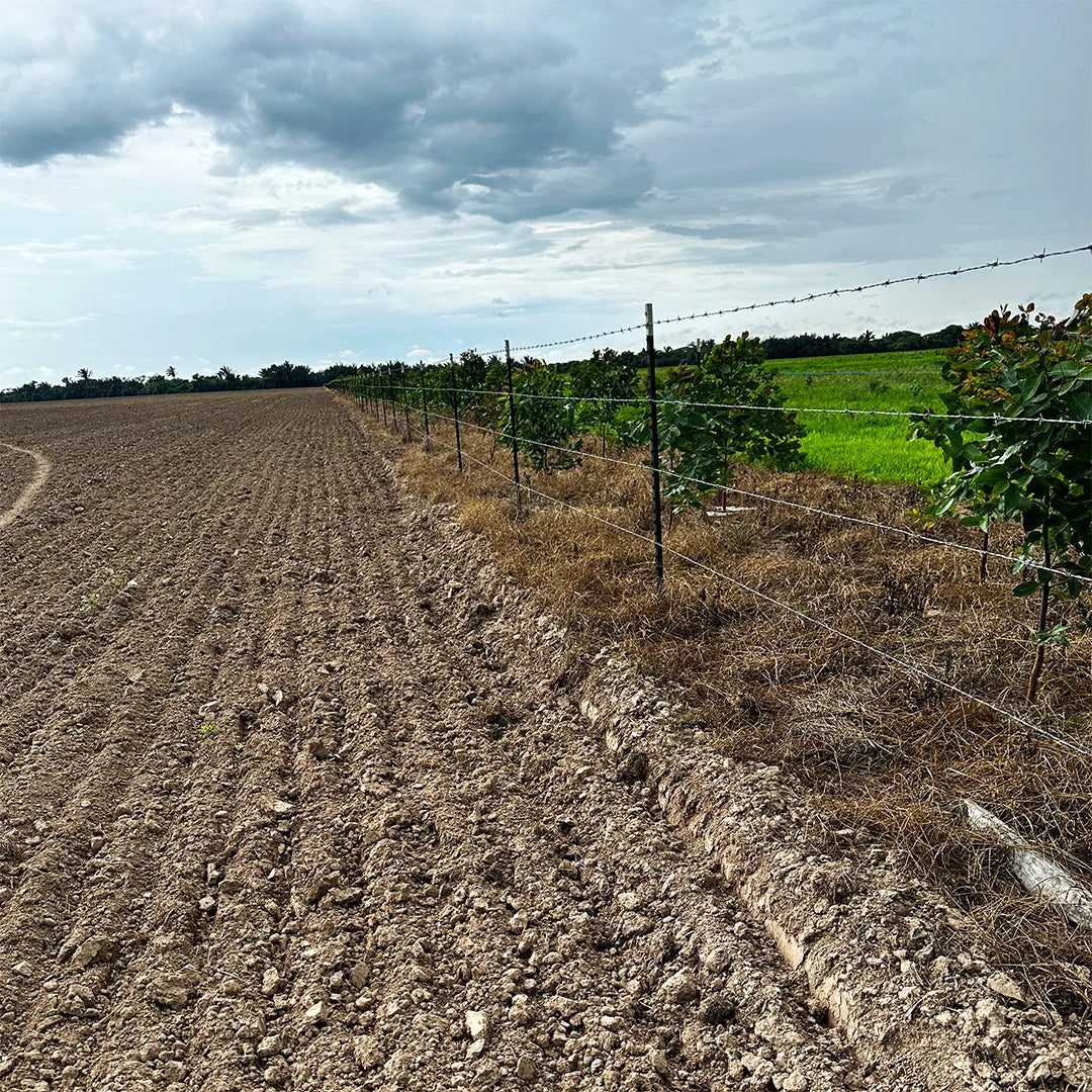 Poste de Acero Perimetral 2.12m Agrofácil x 10 unds