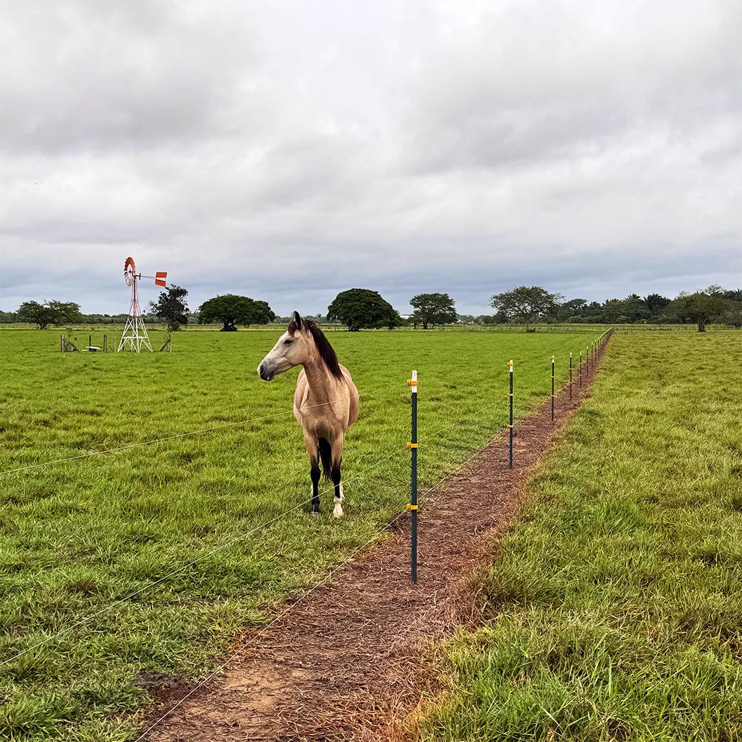 Poste de Acero Ceba 1.82m Agrofácil x 50 unds