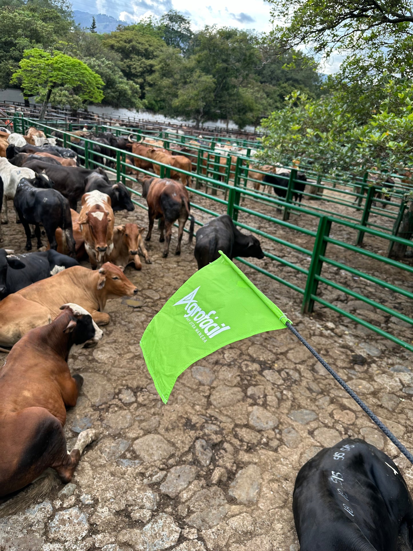Bandera Arreadora Bienestar Animal Agrofácil