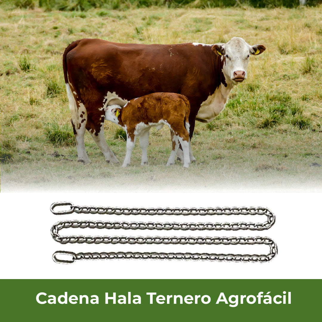 Cadena Acero Inox Hala Ternero Agrofácil