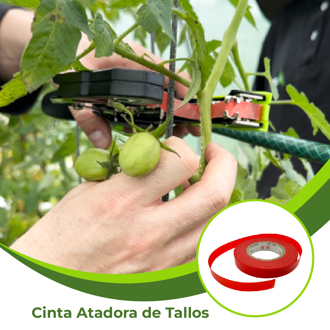 Cinta Atadora de Tallos x 25m Agrofácil