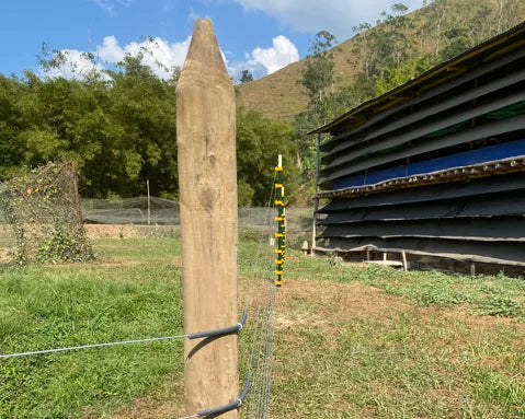 Postes para cercas ganaderas: ¿cómo elegir entre madera inmunizada y acero?