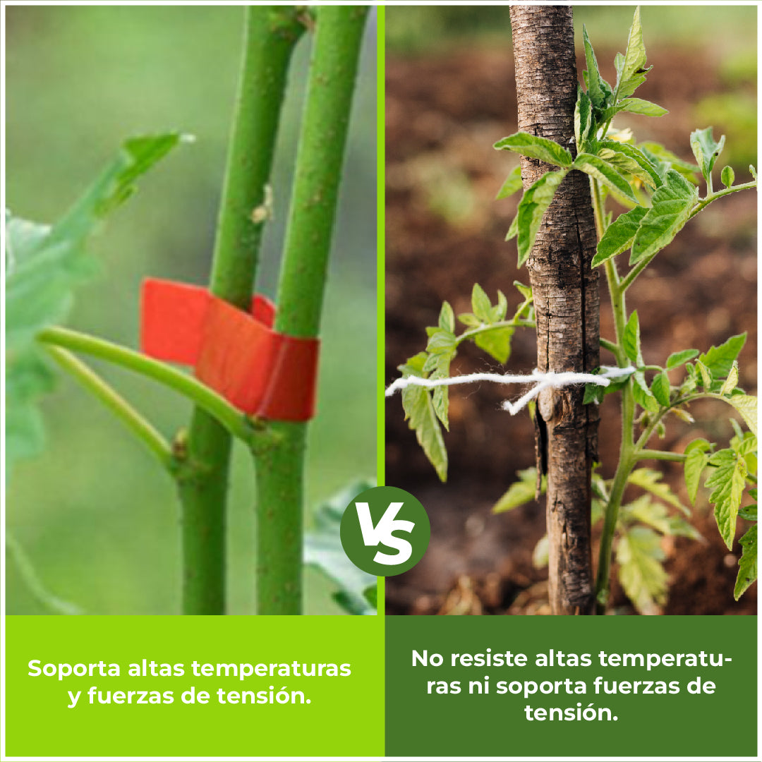 Atadora de Tallos Agrofácil