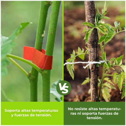 Atadora de Tallos Agrofácil