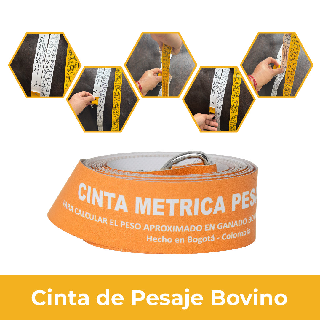 Cinta de Pesaje Bovino