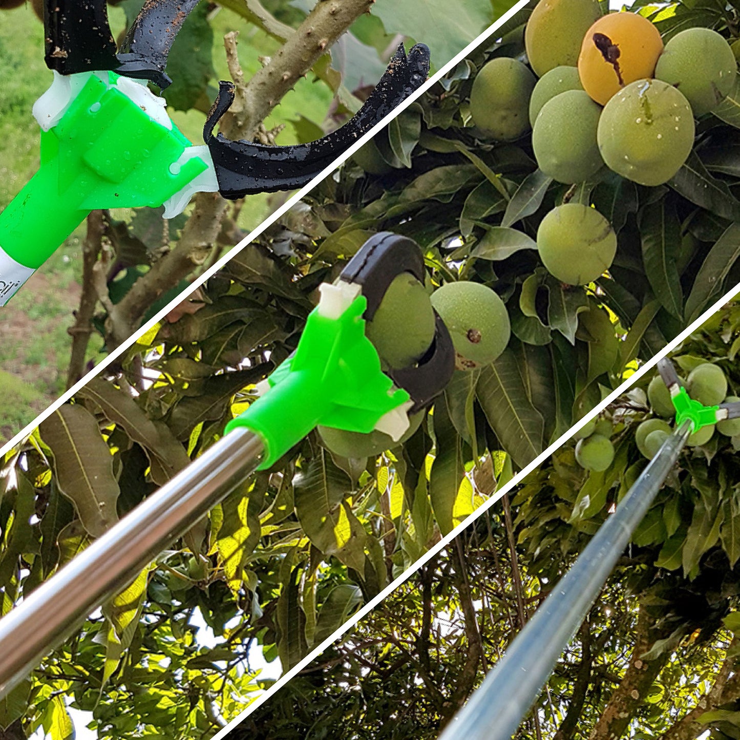 Agarra Frutos 2mts Agrofácil