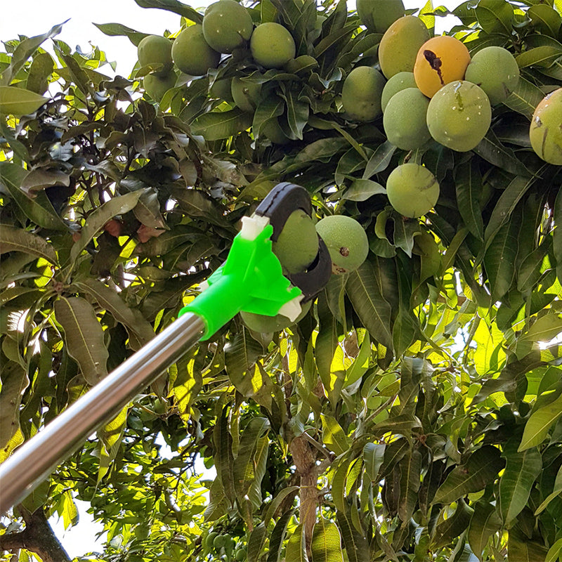 Agarra Frutos 2mts Agrofácil