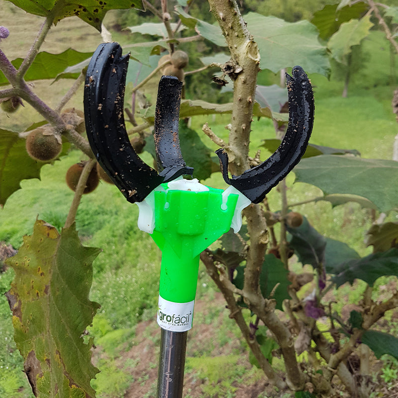 Agarra Frutos 2mts Agrofácil