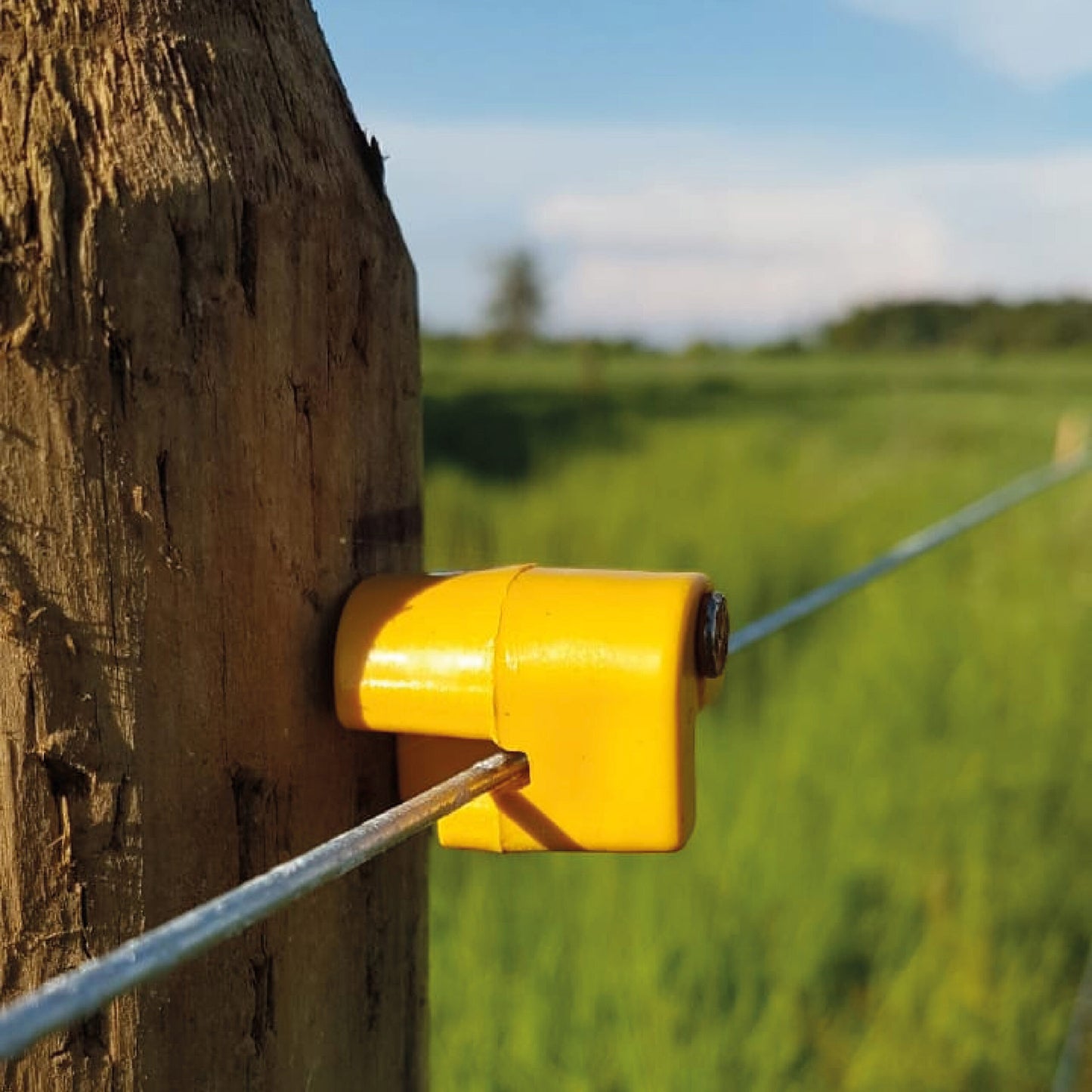 Aislador Puntilla Agrofácil Paq x 200 unidades