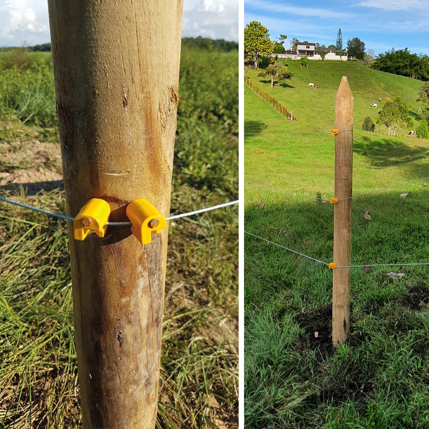 Aislador Puntilla Agrofácil Paq x 200 unidades