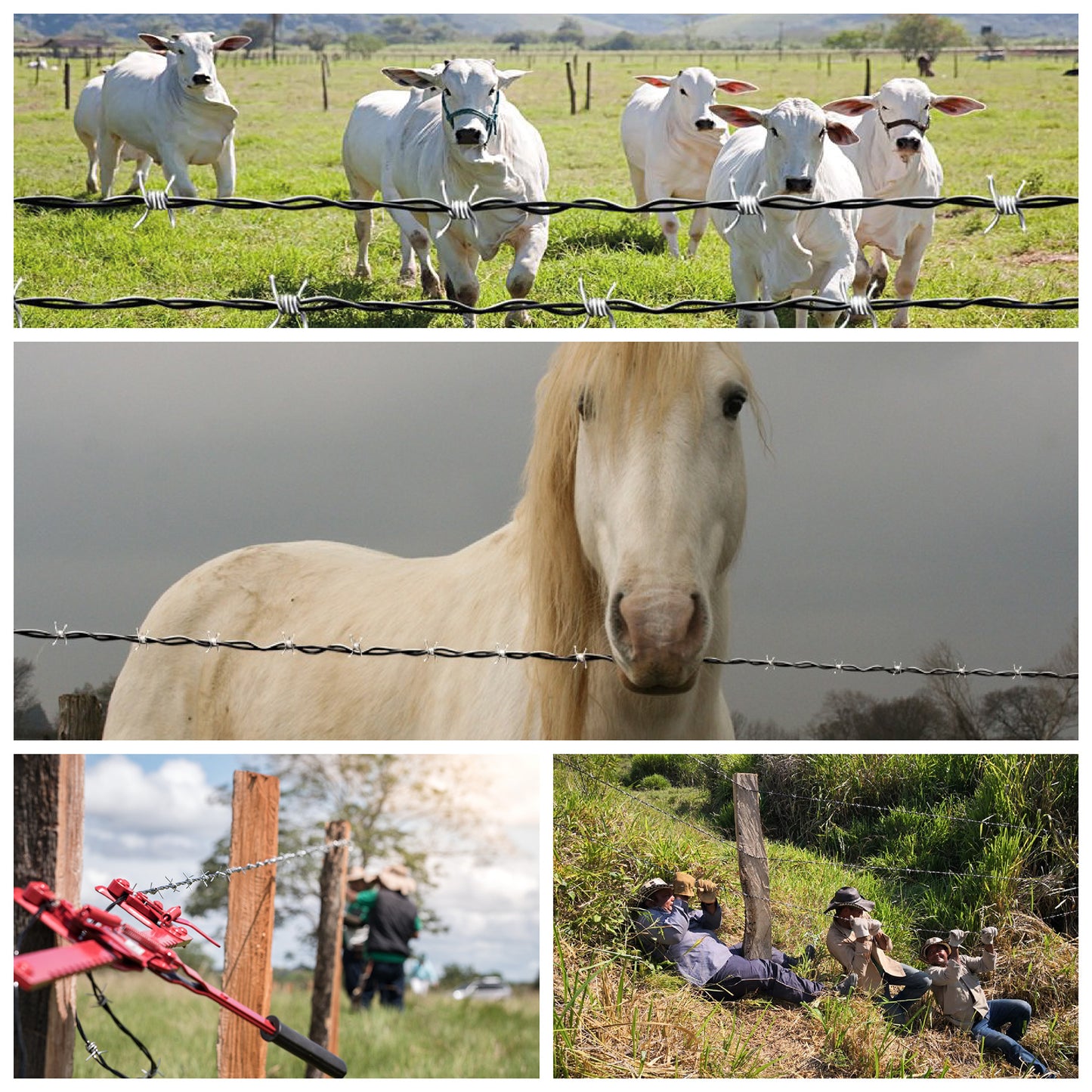 Alambre de Púas Híbrido C12 x 400m Farmer