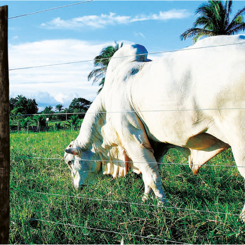 Alambre Galvanizado Calibre 14 x 1000m MOTTO x 3 unidades