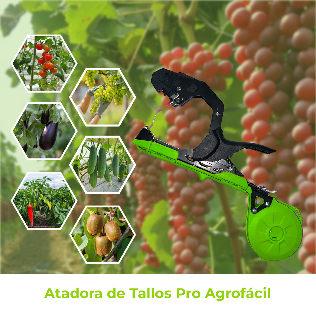 Atadora de Tallos Agrofácil