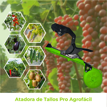 Atadora de Tallos Agrofácil