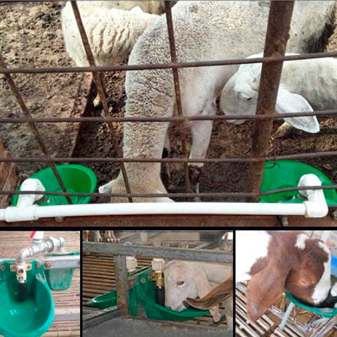 Bebedero Plástico Automático 1.8 Lts Agrofácil