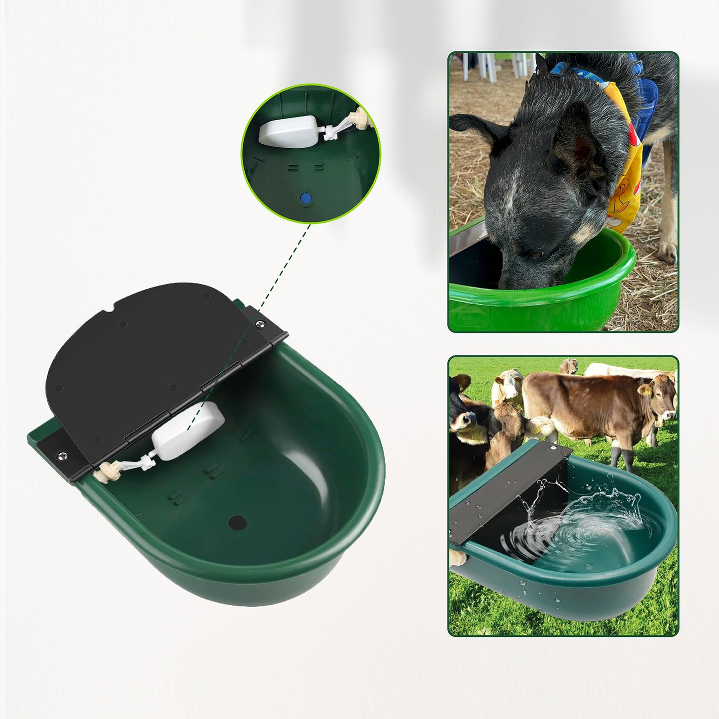 Bebedero Plástico Automático 3L Agrofácil