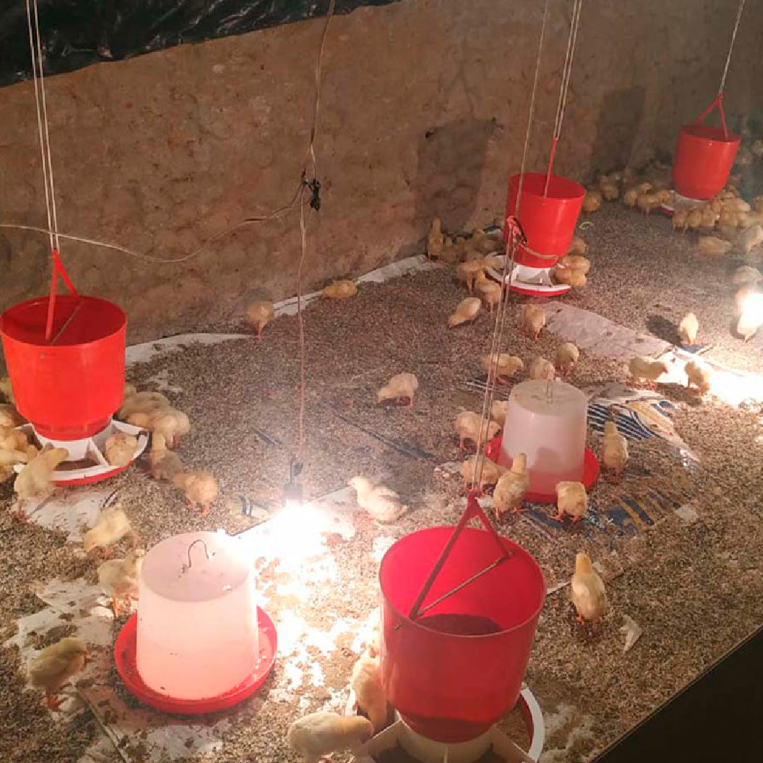 Bebedero de Volteo 5 Litros para Pollos Agrofácil