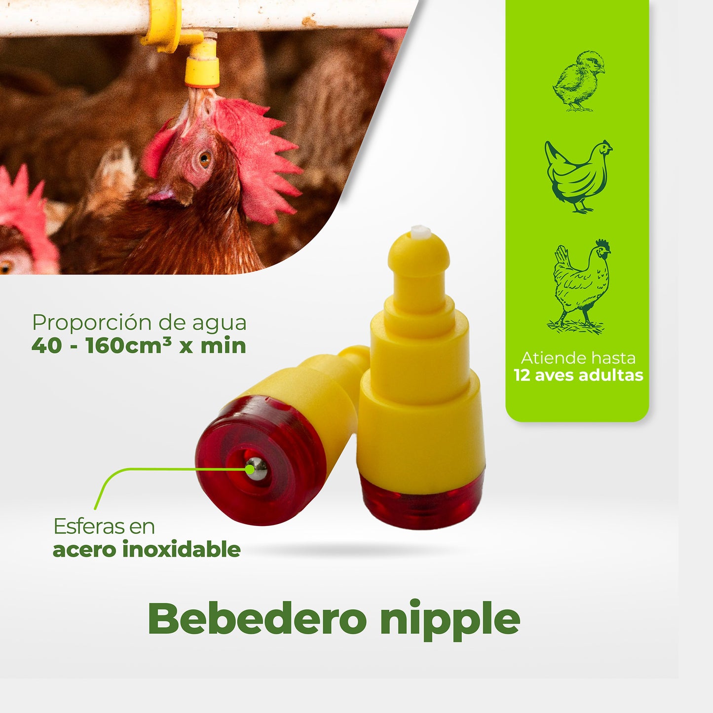 Bebedero Nipple con acople Agrofácil