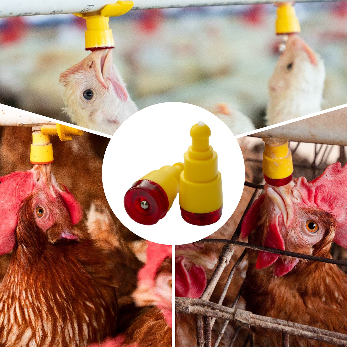 Bebedero Nipple con acople Agrofácil