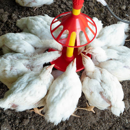 Bebedero Universal con Kit para Aves Agrofácil