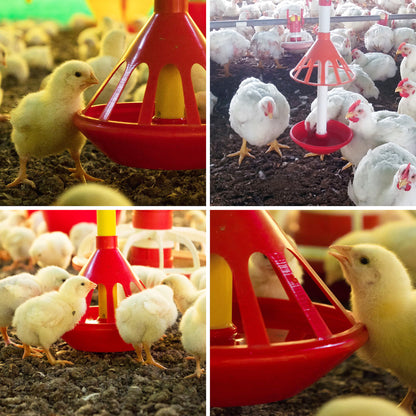 Bebedero Universal con Kit para Aves Agrofácil