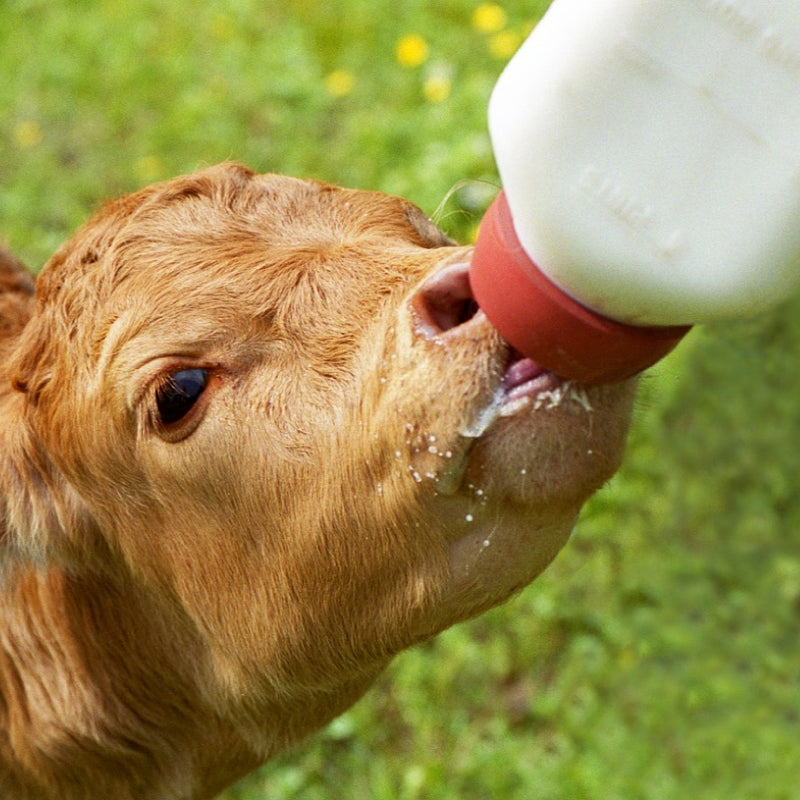Botella para Leche Agrofácil