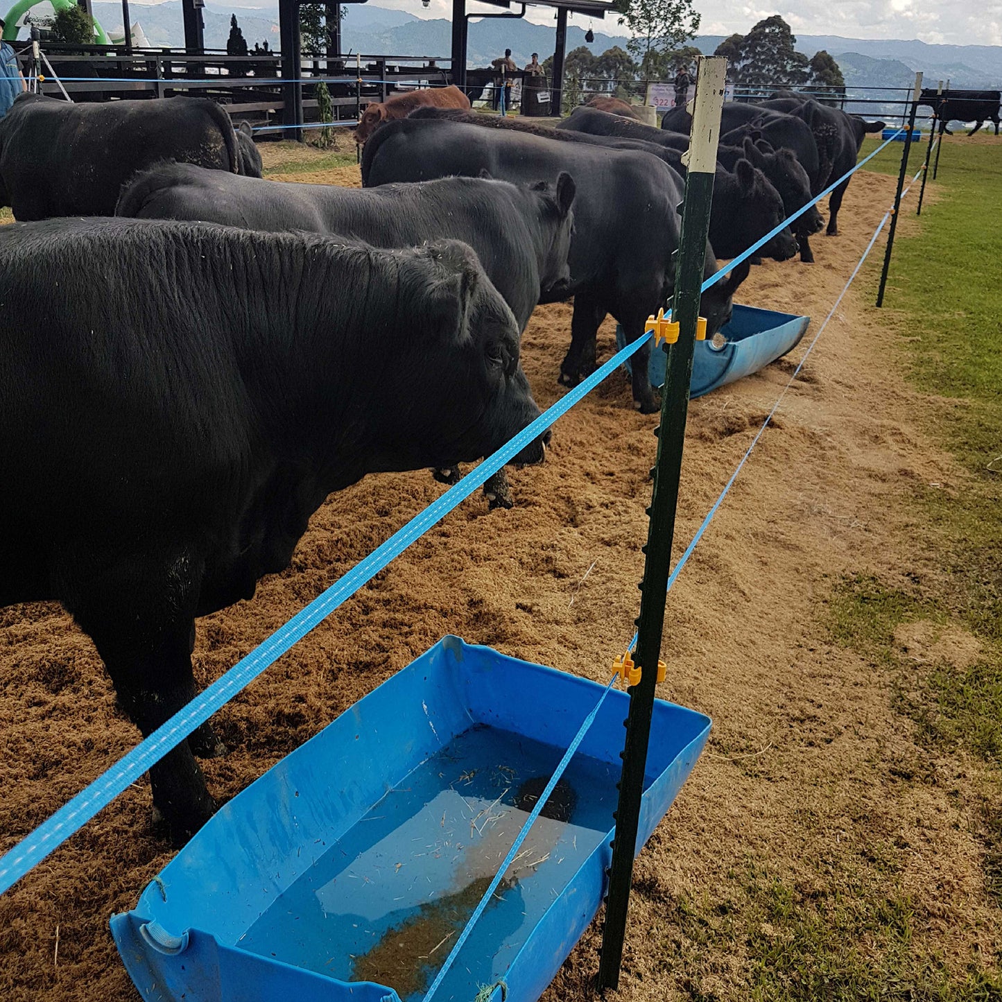 Cinta Eléctrica Rollo x 200m Agrofácil