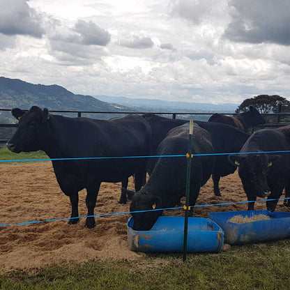 Cinta Eléctrica Rollo x 200mt Agrofácil Paquete x 10 unds