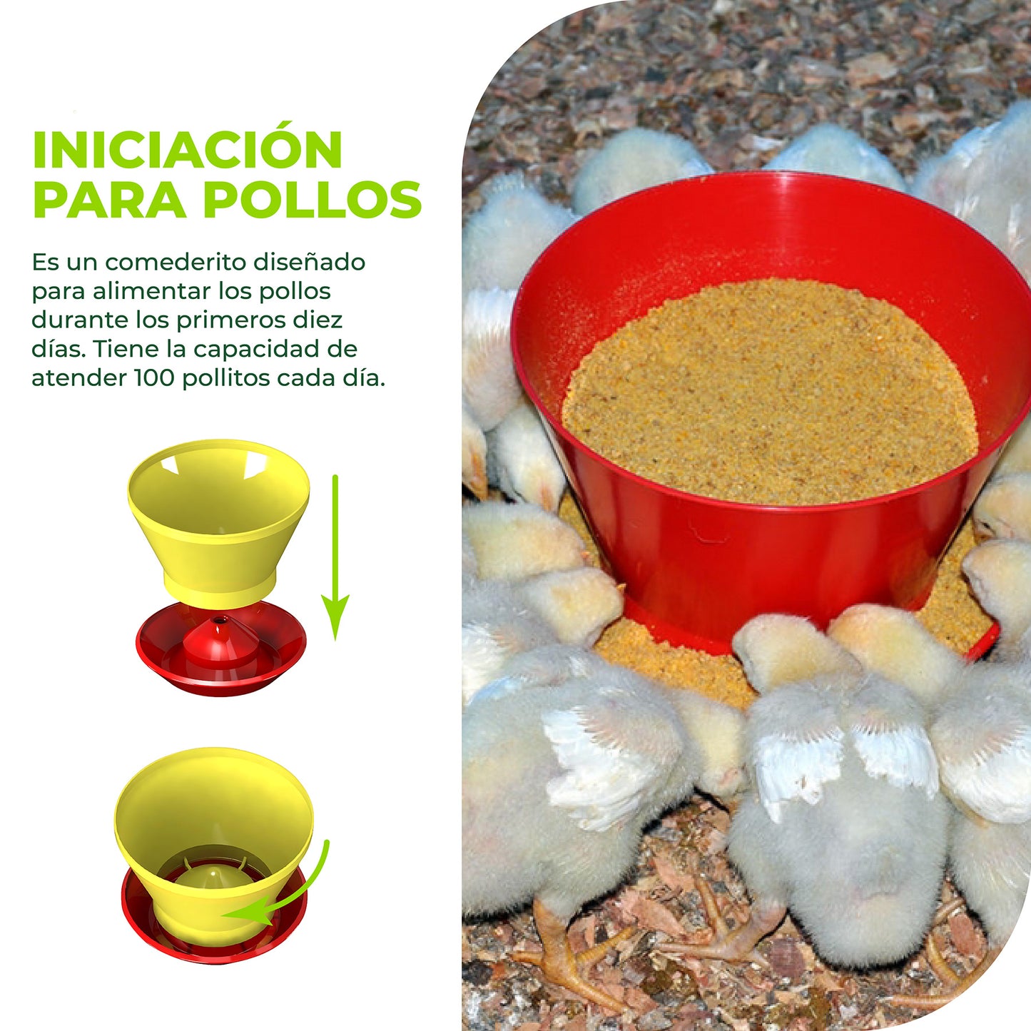 Comedero de Iniciación para Pollos Agrofácil