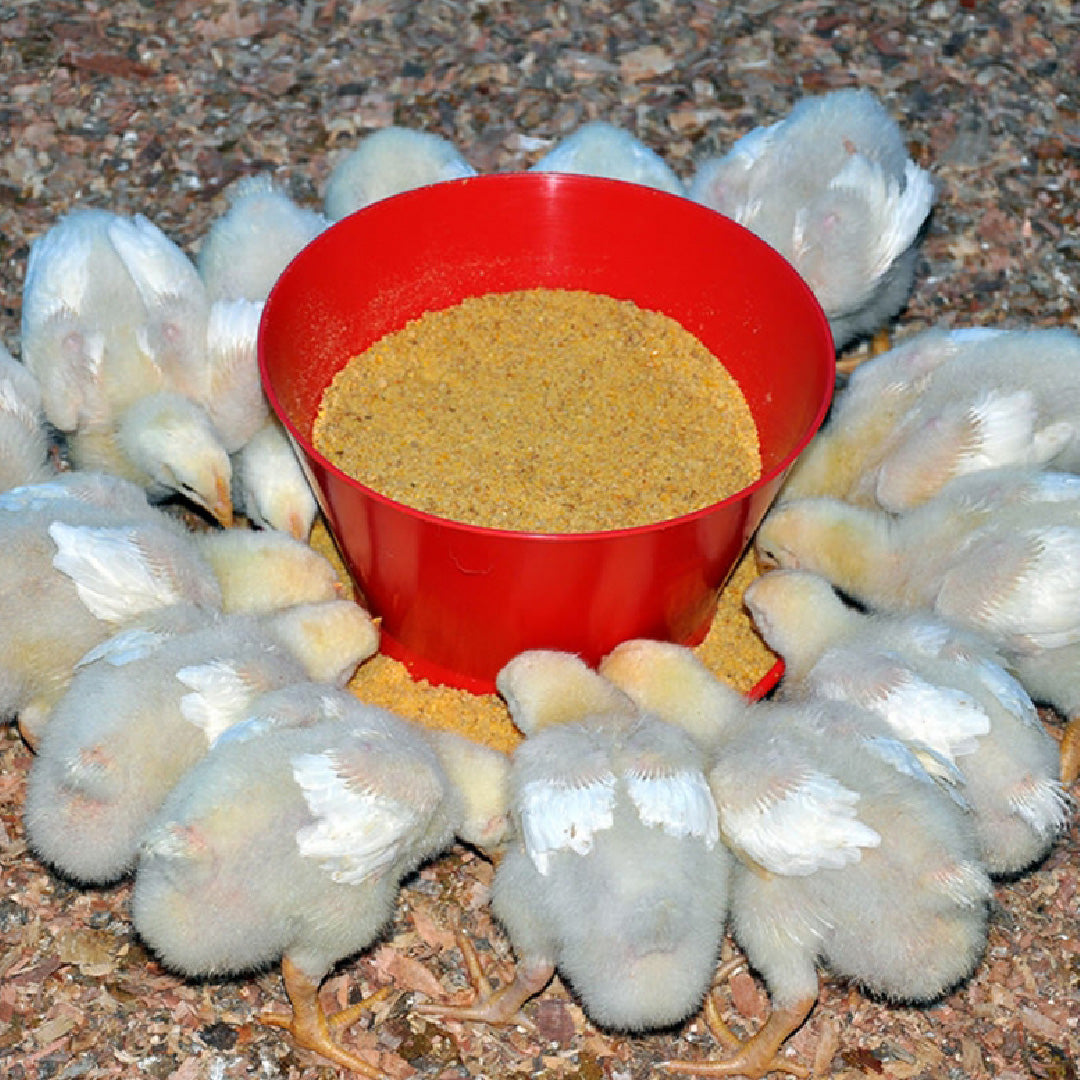 Comedero de Iniciación para Pollos Agrofácil