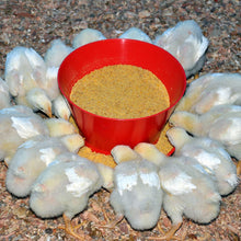 Comedero de Iniciación para Pollos Agrofácil