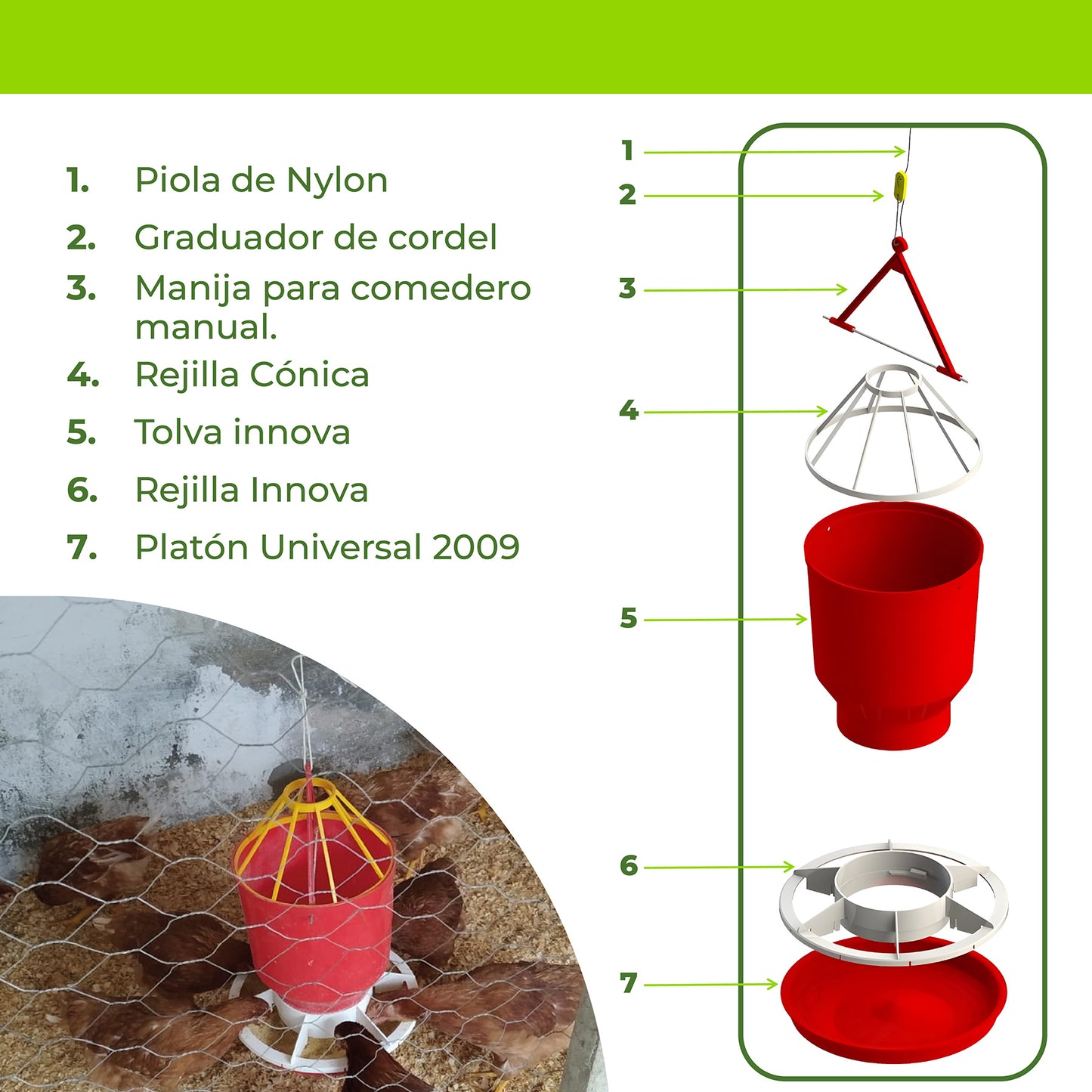 Comedero Gallina Ponedora Agrofácil