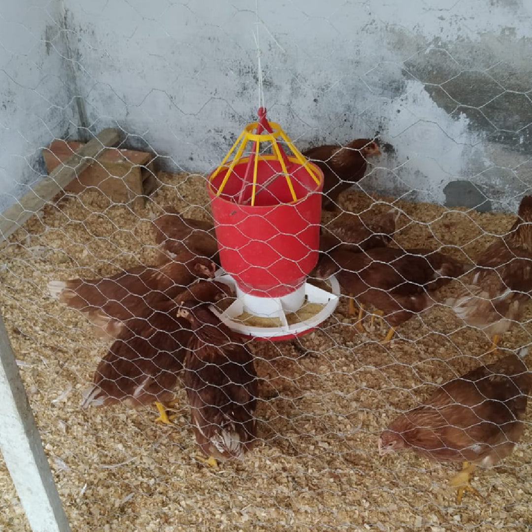 Comedero Gallina Ponedora Agrofácil
