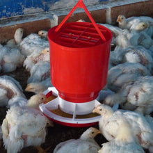 Comedero Gallina Ponedora Agrofácil