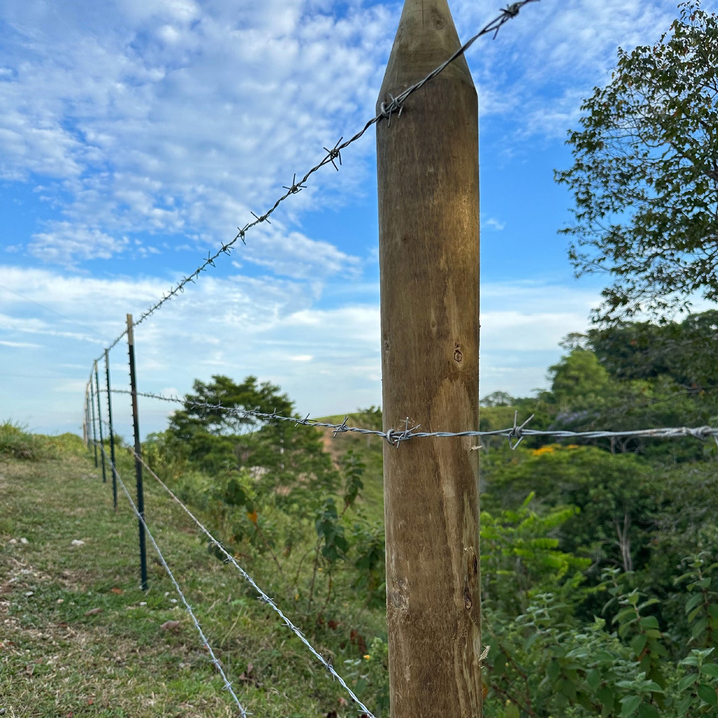 Estacón de Madera Inmunizado Cilindrado 2.20 m x 9cm / 7cm / 10cm Agrofácil