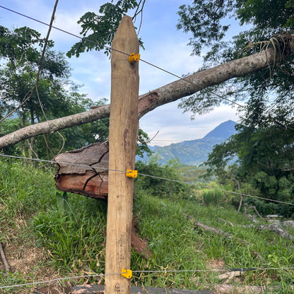 Estacón de Madera Inmunizado Cilindrado 2.20 m x 9cm / 7cm / 10cm Agrofácil