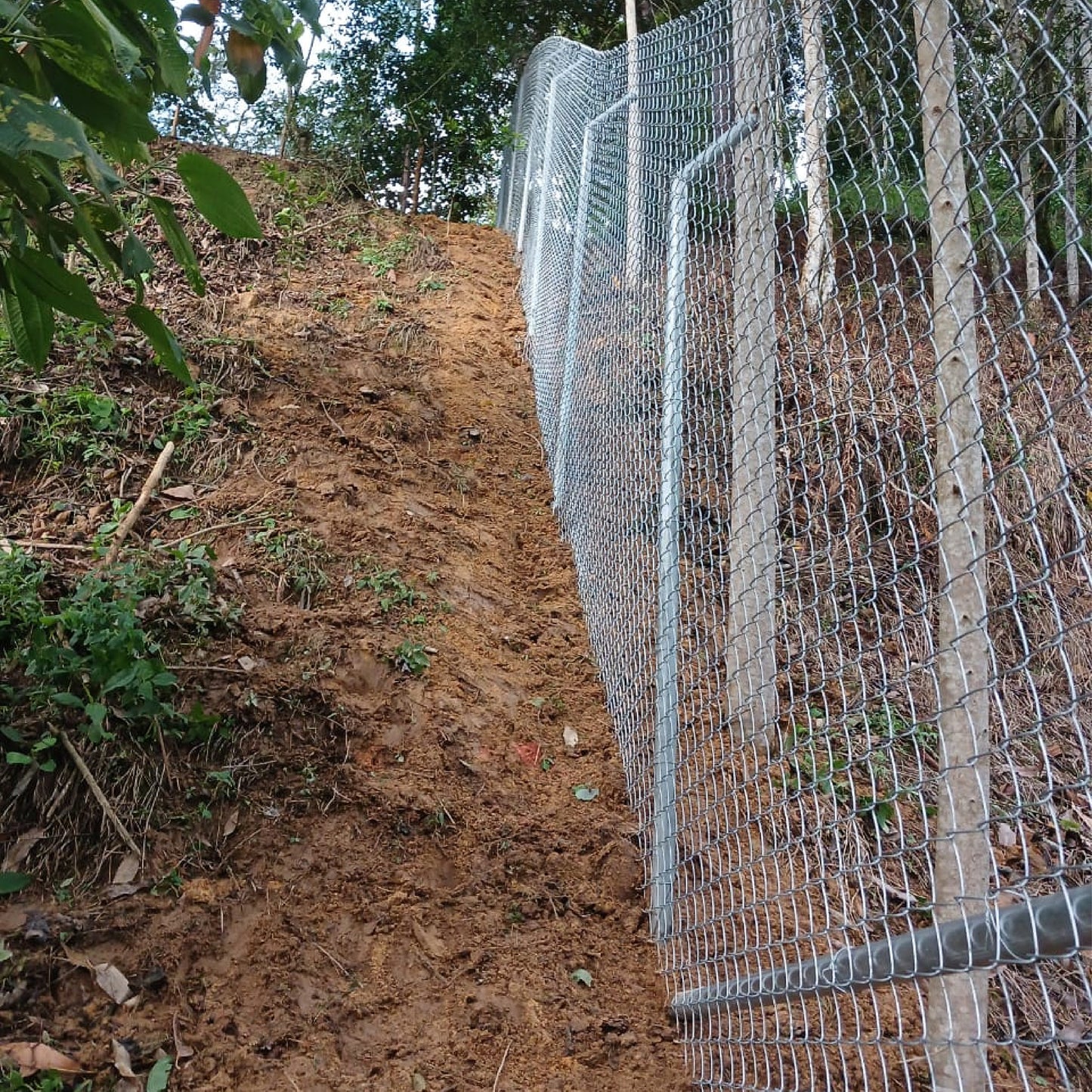 Malla Eslabonada 2mt x 10m Agrofácil