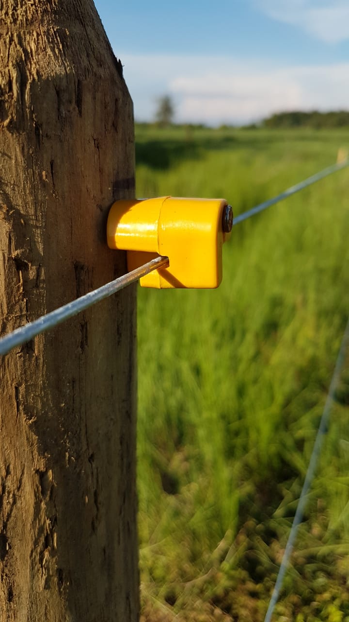 Aislador Puntilla Agrofácil Bolsa x 100 unds