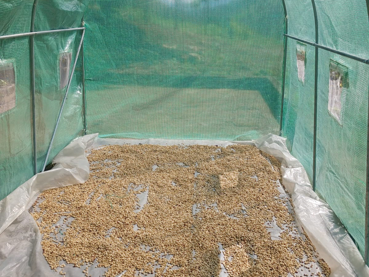 Invernadero Portátil Agrofácil 4 x 2 x 2m