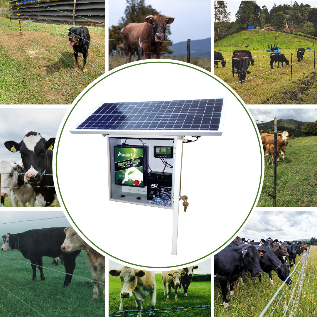 Kit Solar Impulsor 12V Cerca Eléctrica Agrofácil