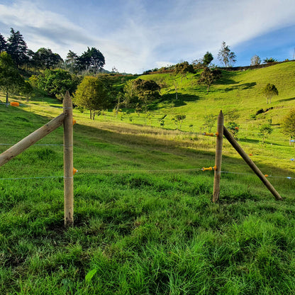 Kit Manigueta Portillo x 5mt Agrofácil x 5 unds