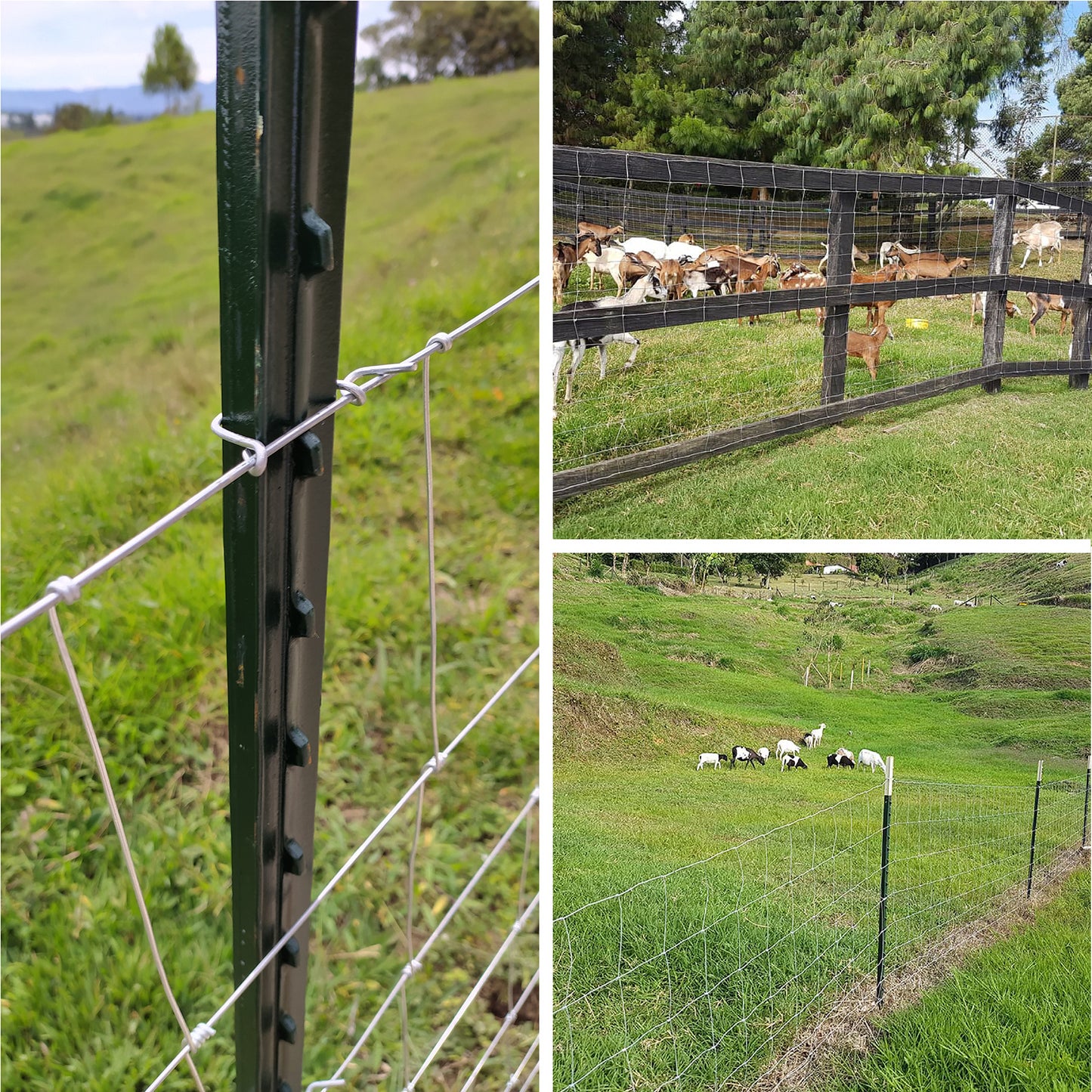 Poste de Acero Lechero-Mascota 1.48m Agrofácil x 10 unidades