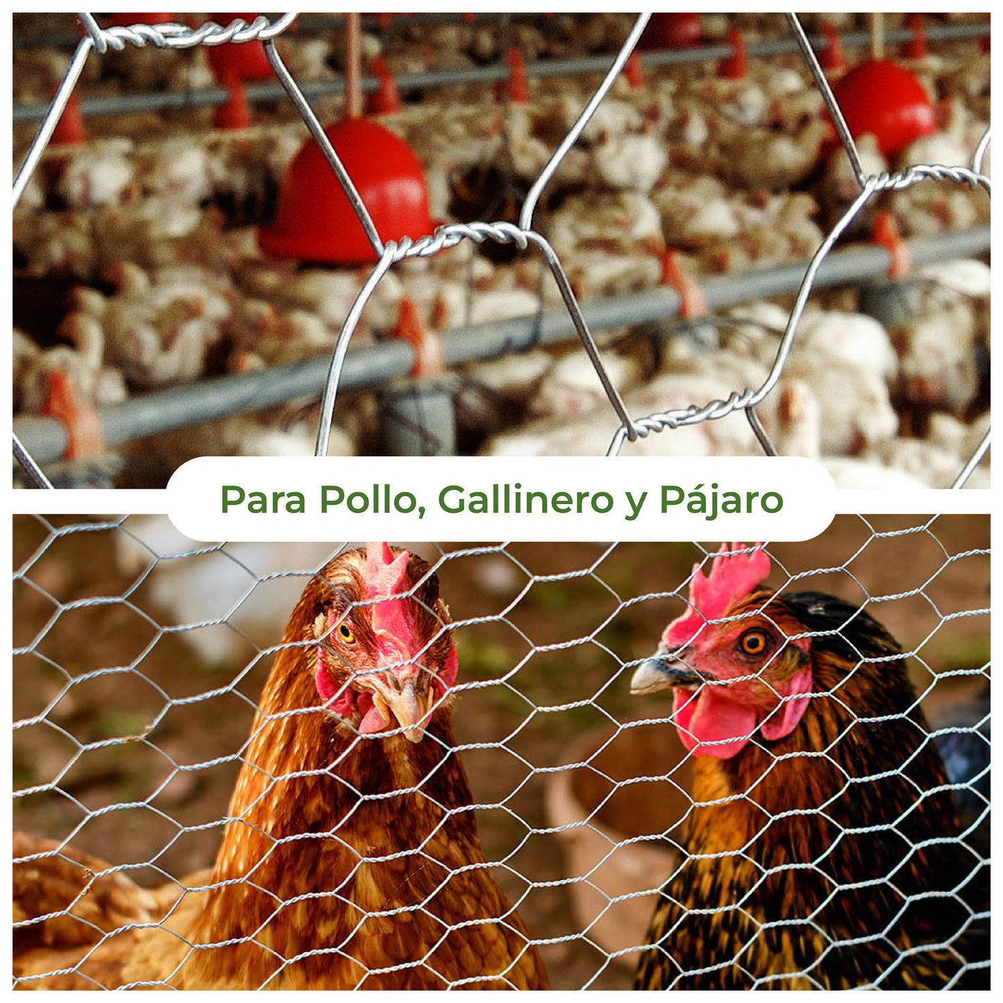 Malla Hexagonal Pollo, Gallina y Pajaro Agrofácil
