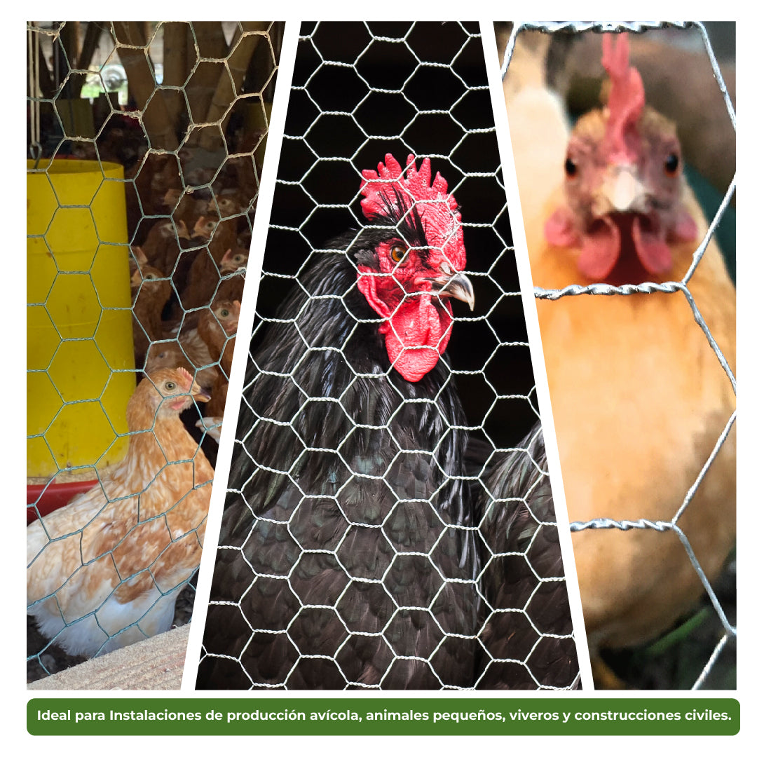 Malla Hexagonal Pollo, Gallina y Pajaro Agrofácil